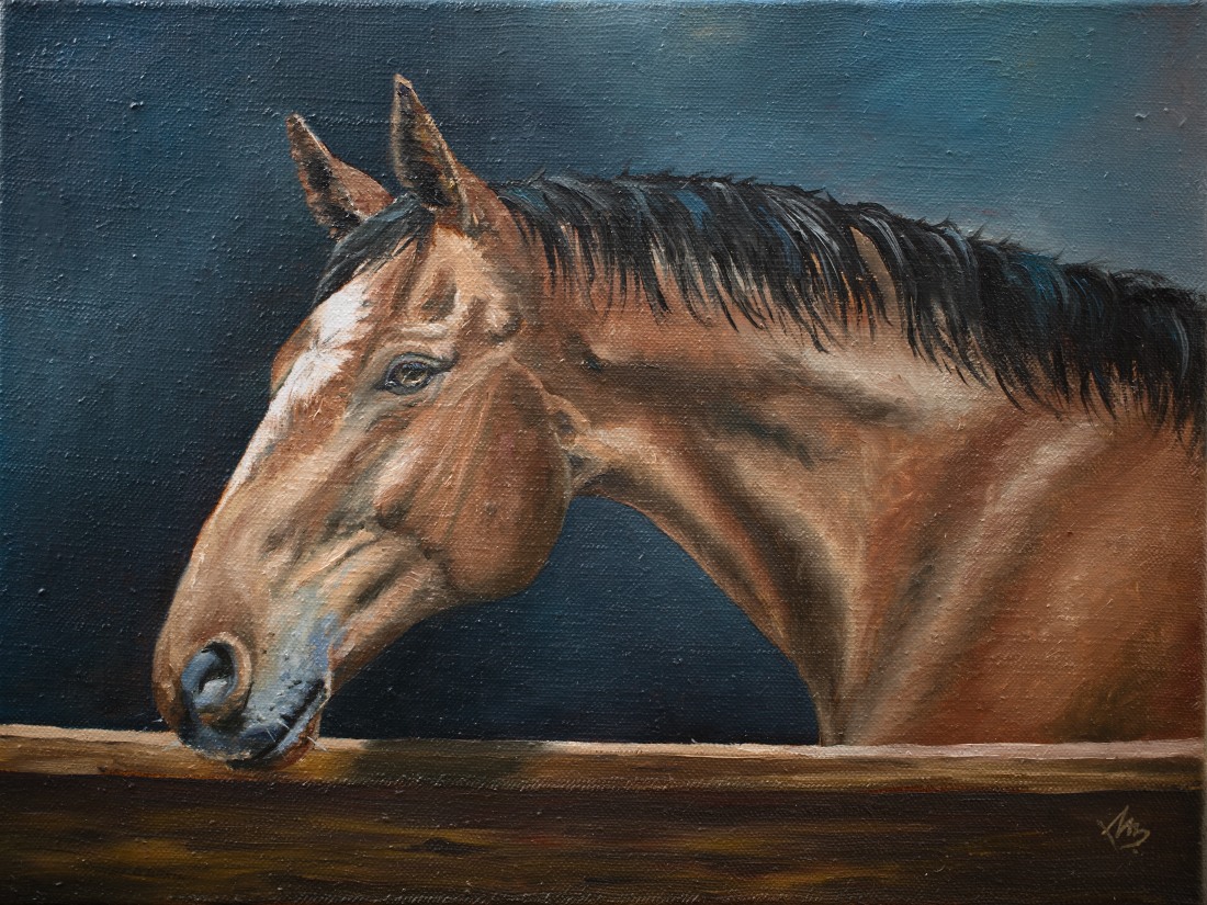 Workshop víkendový 18-19.4 Akryl