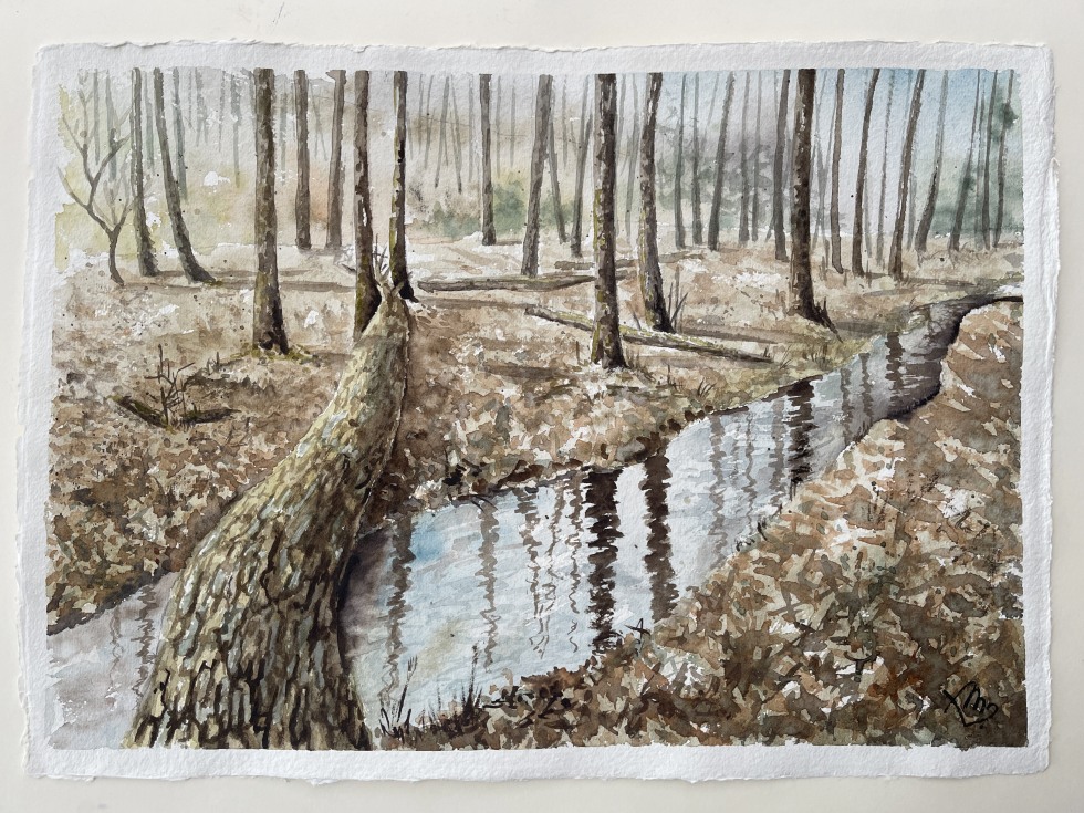 Workshop 23.5 Akvarel 